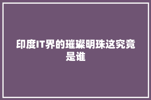 印度IT界的璀璨明珠这究竟是谁 英文谷歌算法