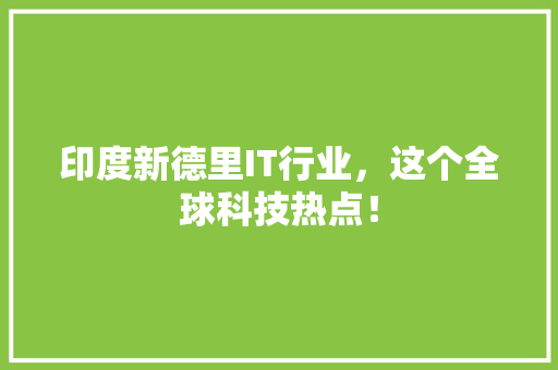 印度新德里IT行业，这个全球科技热点！