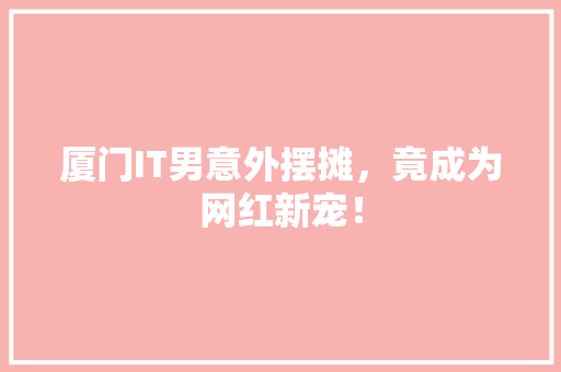 厦门IT男意外摆摊，竟成为网红新宠！