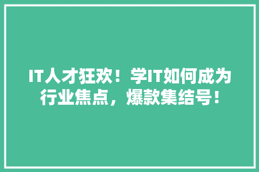 IT人才狂欢！学IT如何成为行业焦点，爆款集结号！