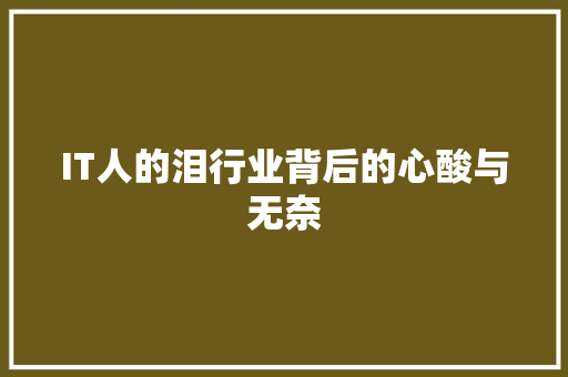 IT人的泪行业背后的心酸与无奈