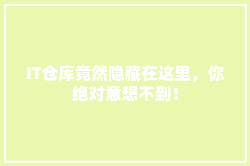 IT仓库竟然隐藏在这里，你绝对意想不到！
