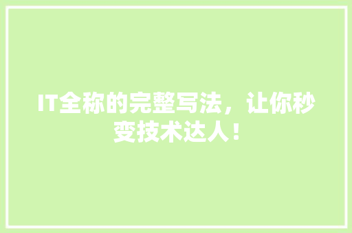 IT全称的完整写法，让你秒变技术达人！ 网站开发