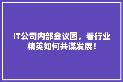 IT公司内部会议图，看行业精英如何共谋发展！