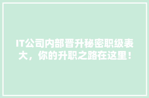 IT公司内部晋升秘密职级表大，你的升职之路在这里！
