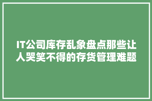 IT公司库存乱象盘点那些让人哭笑不得的存货管理难题