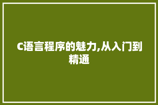 C语言程序的魅力,从入门到精通