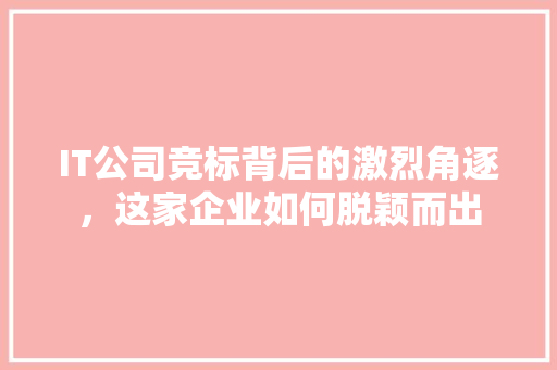 IT公司竞标背后的激烈角逐，这家企业如何脱颖而出 seo技术