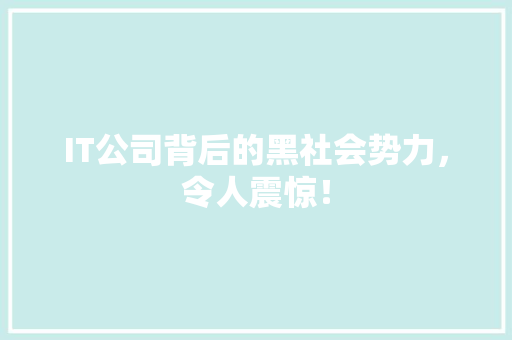 IT公司背后的黑社会势力，令人震惊！ seo技术
