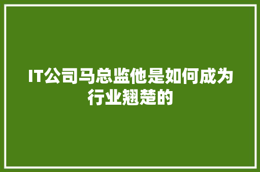 IT公司马总监他是如何成为行业翘楚的