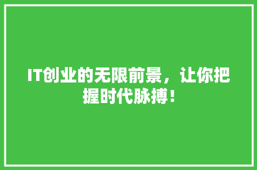 IT创业的无限前景，让你把握时代脉搏！