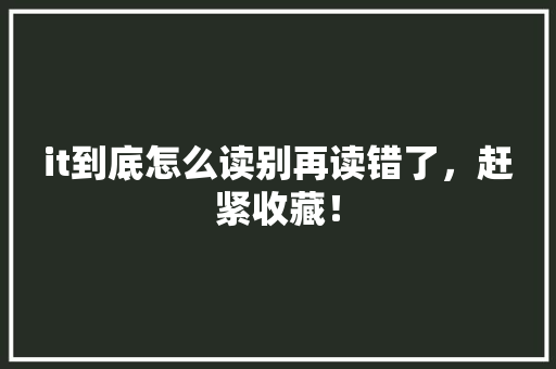 it到底怎么读别再读错了，赶紧收藏！