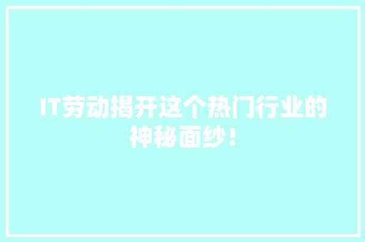 IT劳动揭开这个热门行业的神秘面纱！
