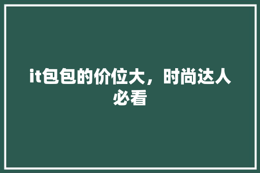 it包包的价位大，时尚达人必看