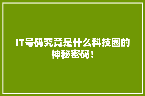 IT号码究竟是什么科技圈的神秘密码！ 百度算法