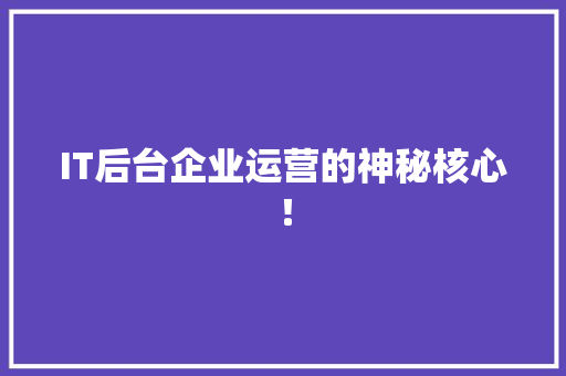 IT后台企业运营的神秘核心！