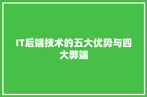 IT后端技术的五大优势与四大弊端