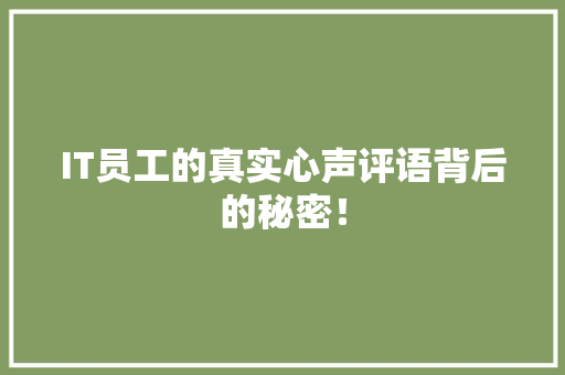 IT员工的真实心声评语背后的秘密！ 英文谷歌算法