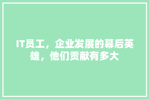 IT员工，企业发展的幕后英雄，他们贡献有多大