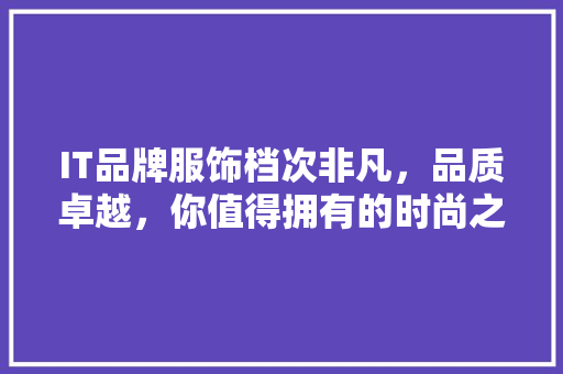 IT品牌服饰档次非凡，品质卓越，你值得拥有的时尚之选！