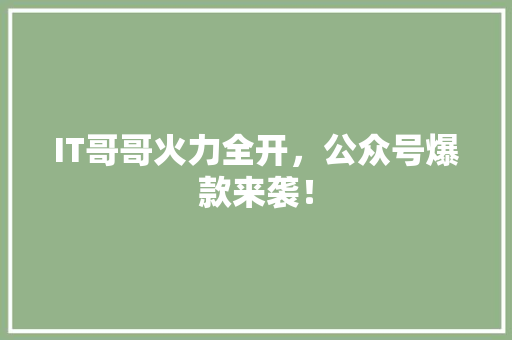 IT哥哥火力全开，公众号爆款来袭！
