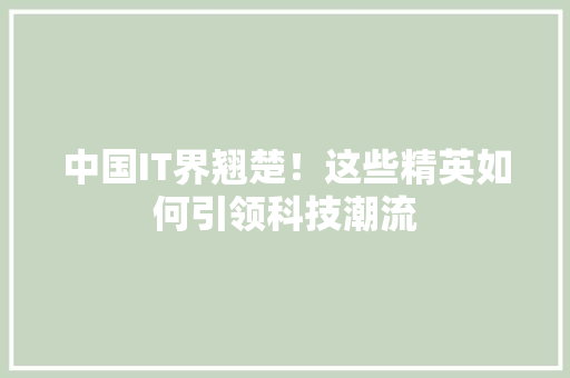 中国IT界翘楚！这些精英如何引领科技潮流