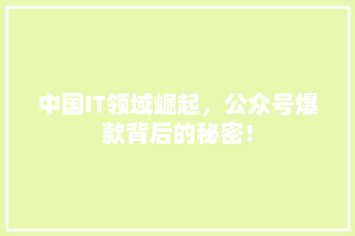 中国IT领域崛起，公众号爆款背后的秘密！