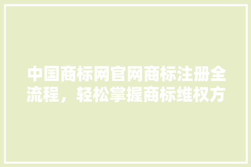 中国商标网官网商标注册全流程，轻松掌握商标维权方法！