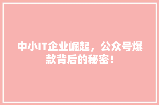 中小IT企业崛起，公众号爆款背后的秘密！