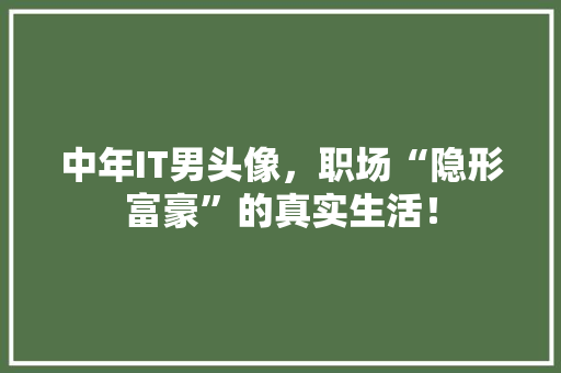 中年IT男头像，职场“隐形富豪”的真实生活！