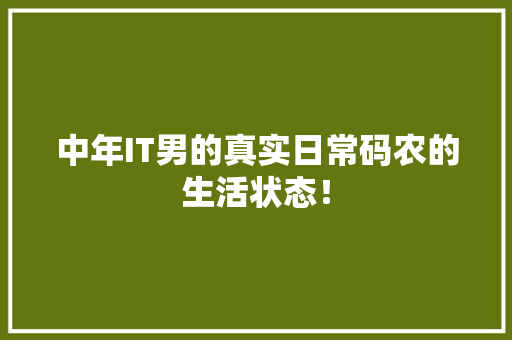 中年IT男的真实日常码农的生活状态！