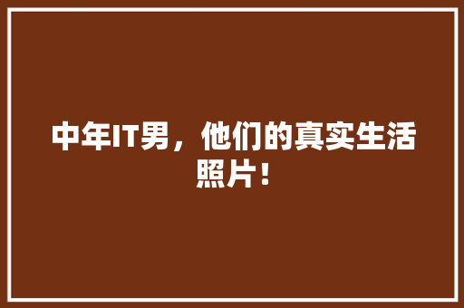 中年IT男，他们的真实生活照片！
