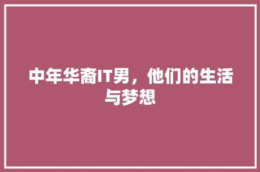 中年华裔IT男，他们的生活与梦想