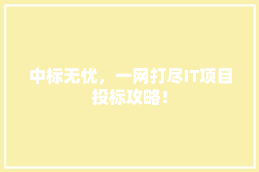 中标无忧，一网打尽IT项目投标攻略！