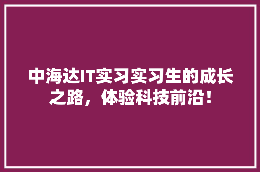 中海达IT实习实习生的成长之路，体验科技前沿！ 小程序开发