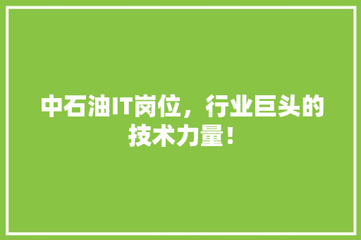 中石油IT岗位，行业巨头的技术力量！