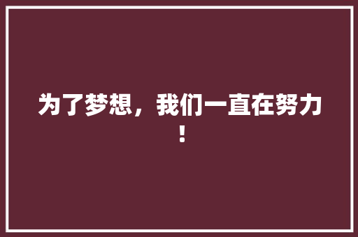 为了梦想，我们一直在努力！