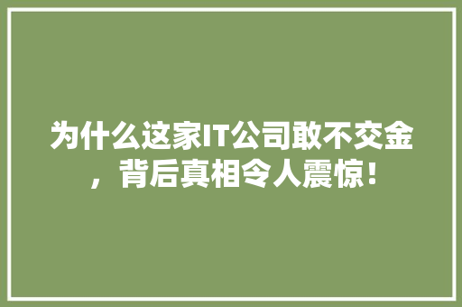 为什么这家IT公司敢不交金，背后真相令人震惊！