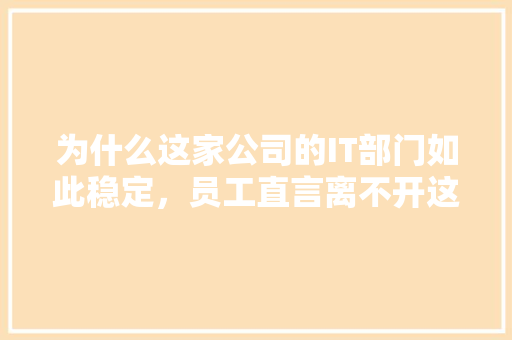 为什么这家公司的IT部门如此稳定，员工直言离不开这个方法！