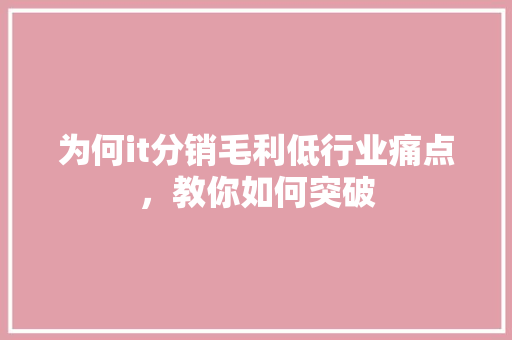 为何it分销毛利低行业痛点，教你如何突破