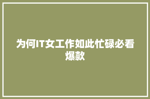为何IT女工作如此忙碌必看爆款