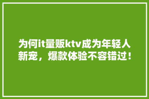 为何it量贩ktv成为年轻人新宠，爆款体验不容错过！
