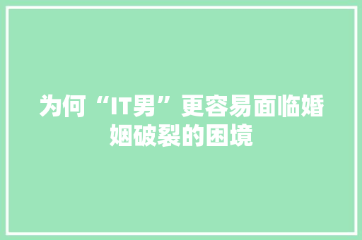 为何“IT男”更容易面临婚姻破裂的困境