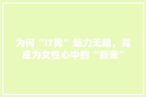 为何“IT男”魅力无限，竟成为女性心中的“新宠”