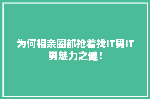 为何相亲圈都抢着找IT男IT男魅力之谜！ seo技术