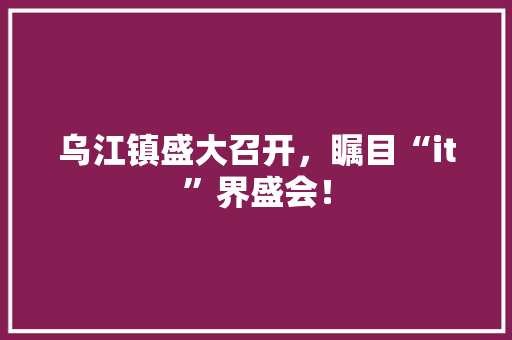 乌江镇盛大召开，瞩目“it”界盛会！