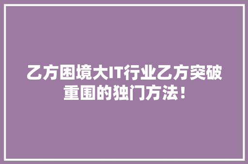乙方困境大IT行业乙方突破重围的独门方法！