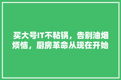 买大号IT不粘锅，告别油烟烦恼，厨房革命从现在开始！ 英文谷歌算法