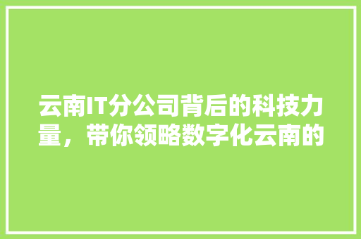 云南IT分公司背后的科技力量，带你领略数字化云南的魅力！