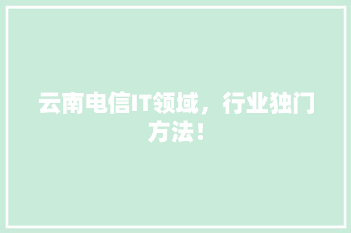 云南电信IT领域，行业独门方法！